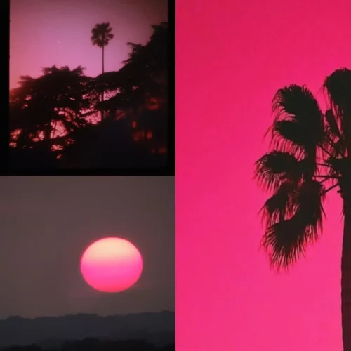 503626456_18068362616107127_4927743701161715856_n